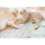 NACOCO Pet Cooling Mat Cat Dog Cushion Pad Summer Cool Down Comfortable Soft for Pets and Adults