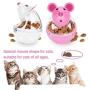 Li-HIM Pet Treat Ball, Interactive Cat Toys Treat Ball, Improve Intelligence IQ Puzzle Toy Suitable for Small and Medium Sized Kittens