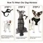 PetiFine Dog Harness with Car Safety Seat Belt, Adjustable Breathable Air Mesh Puppy Vest Harness for X- Small/Small/Medium/Large Dogs & Cats PetiFine Dog Harness with Car Safety Seat Belt, Adjustable Breathable Air Mesh Puppy Vest Harness for X- Small/Small/Medium/Large Dogs & Cats