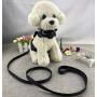 Newtensina 3pcs Bow Ties Bling Cute Dog Harness and Dog Collar with Lead for Dog