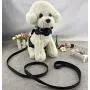 Newtensina 3pcs Bow Ties Bling Cute Dog Harness and Dog Collar with Lead for Dog