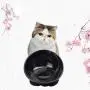 THMY Dog Food Bowl Flat Ceramic Bullfight Bowl with Sloping Mouth Suitable for Short-Nosed pet Bowl Cutlery with Flat face Easy to Clean