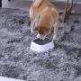 LumoLeaf No Spill Dog Water Bowl for Dogs+ Collapsible Dog Bowl, Portable Slobber Stopper Water Bowl for Traveling, Eco-Friendly Water& Food Feeder for Dogs/Cats/Pets.