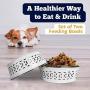 American Pet Supplies Set of 2 Deep Feeder Modern Farmhouse Bowls for Puppies and Dogs