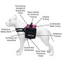 Industrial Puppy Service Dog Vest with Hook and Loop Straps and Detachable Backpacks - Harnesses in 7 Sizes from XXS to XXL - Service Dog Harness Features Reflective Patch and Comfortable Mesh Design