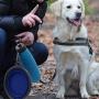 nobrand 2 Pack Collapsible Dog Bowl & Pet Bowl Collapsible Travel Silicone for Outdoor Travel Hiking Camping (1000ml)