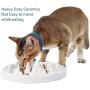 LORVOR Slow Feeder Bowl with Mat, Ceramic Interactive Slow Feeding Bowl Fins Design - Anti-gulping Slow Down Eating Prevent Choking Pet Bowl Feeder