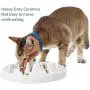 LORVOR Slow Feeder Bowl with Mat, Ceramic Interactive Slow Feeding Bowl Fins Design - Anti-gulping Slow Down Eating Prevent Choking Pet Bowl Feeder LORVOR Slow Feeder Bowl with Mat, Ceramic Interactive Slow Feeding Bowl Fins Design - Anti-gulping Slow Down Eating Prevent Choking Pet Bowl Feeder