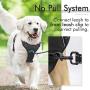 rabbitgoo Dog Harness & Dog Potty Training Pee Pads - Adjustable No Pull Dog Vest with Leash Clips(M) | Washable Pee Pads for Dogs and Cats Waterproof Large Puppy Pads Super Absorbent Non-Slip