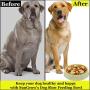 Meric Slow Dog Feed Bowl, Pastel Green Color, Promotes Interactive, Slow Eating, Non-Slip Design, Controls Hunger, 1-Piece