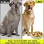 Meric Slow Dog Feed Bowl, Pastel Green Color, Promotes Interactive, Slow Eating, Non-Slip Design, Controls Hunger, 1-Piece Meric Slow Dog Feed Bowl, Pastel Green Color, Promotes Interactive, Slow Eating, Non-Slip Design, Controls Hunger, 1-Piece