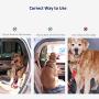 WePet Dogs Cats Car Seat Belts, 2 Packs, Vehicle Harness, Pets Safety Seatbelts, Adjustable, Compatibility, Durable Nylon, Paw Safe, Tangle Free