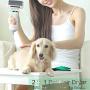 PETRIP Pet Hair Dryer for Dogs Cats with 2 Pack Pet Grooming Gloves Set-2 in 1 Grooming Dog Hair Blower Dryer-Dog Hair Brush for Small Dog and Cat