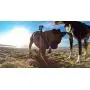 GoPro Fetch Dog Harness - Official GoPro Mount