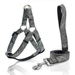 KLCW Dog Harness and Leash Set Back-Clip Dog Harness No Pulling No Choking Step-in Dog Harness, for Small and Medium Size Dogs, Good for Daily Walking and Training