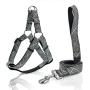 KLCW Dog Harness and Leash Set Back-Clip Dog Harness No Pulling No Choking Step-in Dog Harness, for Small and Medium Size Dogs, Good for Daily Walking and Training