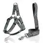 KLCW Dog Harness and Leash Set Back-Clip Dog Harness No Pulling No Choking Step-in Dog Harness, for Small and Medium Size Dogs, Good for Daily Walking and Training