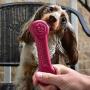 Pet Qwerks Flavorit Flavor Infused Nylon Chew Toy - Fillable Cells for Spreads, Durable Tough Toys for Aggressive Chewers | Made in USA with FDA Compliant Nylon