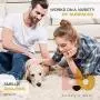 Buddys Best, Pet Urine Odor Eliminator, Deodorizer, and Stain Remover - Enzymatic Cleaner for Dog Urine - Natural and Effective Enzyme Based Dog Pee Spray Cleaner - Bamboo Mint Scent, 32 fl oz