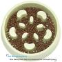 UPSKY Slow Feeder Dog Bowl No Choking Slow Feeder Bloat Stop Dog Food Water Bowl with Funny Pattern (Set of 2)