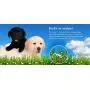 BioFill Artificial Grass Turf Granular Infill Deodorizer and Eliminator - All Natural, Long Lasting Pet Dog Urine Odor Deodorizer to Filter and Neutralize Odor in Turf Surfaces - 8lb