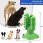 MyfatBOSS Dog Toothbrush Chew Toys, Cactus Shaped Puppy Dog Teeth Cleaning Stick with Rubber Suction Cup, Interactive Dental Toothbrush Cleaning Toys, with Dog Rope Toy & Little Cleaning Brush