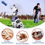 Dog Chew Toys for Aggressive Chewers Large Breed,RexSoul Rubber Dog Toothbrush & Squeaky Chew Toys,Reduces Plaque & Tartar Teeth Cleaning Pet Toys, Tough Tear-Resistant Crocodile Shape Dog Toys