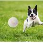 XIHONGSHIR Dog Toys Balls Large Tennis Balls, Dog Toys Squeaky Balls, Nontoxic Bite Resistant, Pet Puppy Training Tooth Cleaning Toy (White),White,small6.5cm
