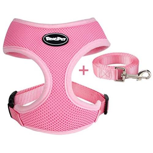 BINGPET Small Dog Harness and Leash - Soft Puppy Vest for Cat, Pink