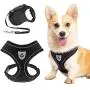SCENEREAL Dog Harness with Retractable Leash Set - Soft Mesh Puppy Harness and Leash, No Pull Padded Vest with 16.4 FT Leash for Small Medium Breeds Dogs & Cats, Black