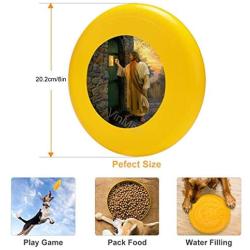 Pet Frisbee Flying Disc Dog Toy - Multifunction Let Him in Greg Olsen