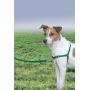 PetSafe Easy Walk Dog Harness