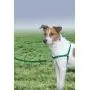 PetSafe Easy Walk Dog Harness PetSafe Easy Walk Dog Harness
