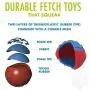 Hero Outer Armor, Fetch Dog Toy, Floats & Squeaks