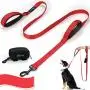 PuppyDoggy Double Handle Dog Leash 6 ft Long for Large and Medium Dogs Reflective Threads Stitching Leash with Two Traffic Padded Handles & Poop Bag Dispenser for Walking , Training (Red)