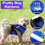 Weewooday 3 Pieces Puppy Harness and Leash Soft Mesh Dog Vest Harness Breathable Dog Vest with Leash No Pull Adjustable Harness for Cats and Puppies (Black, Blue, Pink)