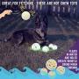 Chew King Fetch Balls, Glowing Balls for Dogs, Fits Ball Launcher