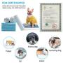 WISPET - Puppy Pads and Dog Pee Pads 22''x22'' -100 Count - Super Absorbent & Leak-Free Potty Pads for Dogs and Pet Training Pads