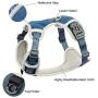 TUFF HOUND No Pull Dog Harness for Small Medium Dogs,3M Reflective Pet Vest, Adjustable Pink Pet Harness, Unchewable Dog Collar