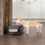 IRIS Small Elevated Feeder