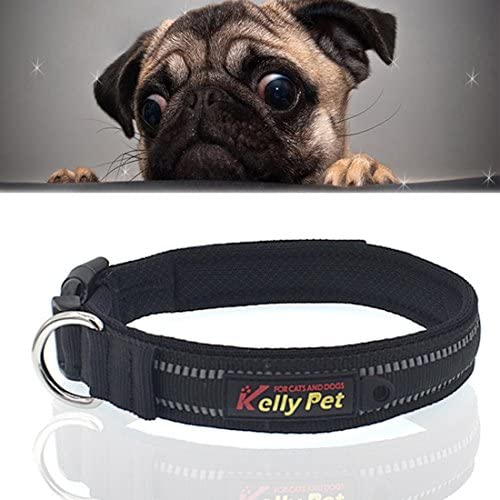 Chenyouwen Pet Toys Great Pet Dogs Polyester Reflective Breathable Pets Collar Traction Lead Leash, Size: L, 2.54754cm (Black) (Color : Black)