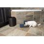 PetSafe Digital Two Meal Automatic Pet Feeder