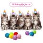 Sumind 20 Pieces Cat Toys Balls with Bells Interactive Cat Exercise Toy Cat Play Balls Pet Toys of Keeps Busy for Cat (Assorted Color)