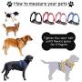 JESPET Dog Harness No Pull with Adjustable Straps for Behavior Training and Easy Walking, Dog Vest Walking Harness for Puppy and Small, Medium, Large Dogs