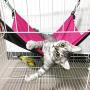 REDSTORM Pet Hammock Cat Bed Four Seasons Universal Puppy Cat Hammock Hanging Small Size Pet Hammock
