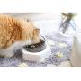 Schwein Double Single Cat Dog Bowls Elevated Cat Food Water Bowls 0/20°Tilted Raised Pet Feeder Bowl with Anti Slip Stand for Cats and Small Dogs