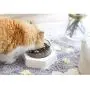 Schwein Double Single Cat Dog Bowls Elevated Cat Food Water Bowls 0/20°Tilted Raised Pet Feeder Bowl with Anti Slip Stand for Cats and Small Dogs Schwein Double Single Cat Dog Bowls Elevated Cat Food Water Bowls 0/20°Tilted Raised Pet Feeder Bowl with Anti Slip Stand for Cats and Small Dogs