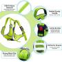 ThinkPet No Pull Harness Breathable Sport Harness - Reflective Padded Dog Safety Vest with Top Handle, Back/Front Clip for Easy Control
