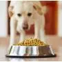 Estilo Stainless Steel Dog Bowls, 32 Oz (Set of 2)