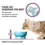 Y YHY Elevated Dog Bowls, Cermaic Dog Cat Bowls for Food and Water, Elevated Bowls for Medium Dogs and Cat, Prevent Neck Pain, Anti Slip Feet